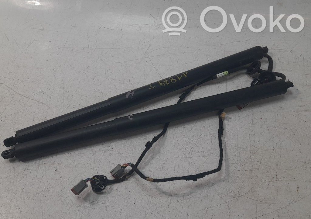 Amortizor hayon   LV4BS402A54AF,LV4BS402A54AF