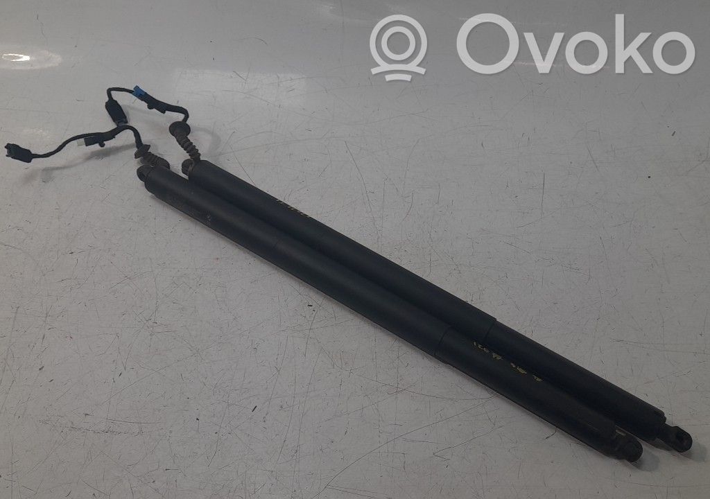 BMW 1 F70 Ammortizzatore portellone posteriore/bagagliaio 