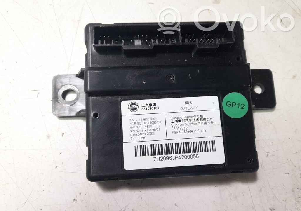 Other control units/modules   11462096