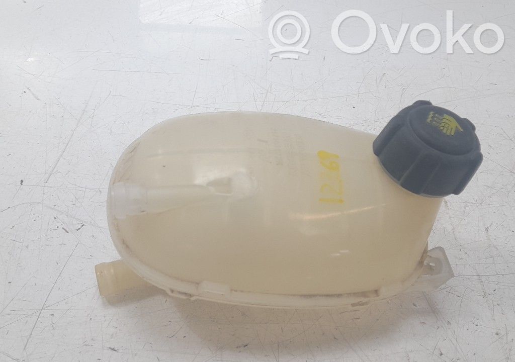 Renault Clio IV Vase d'expansion de carburant 