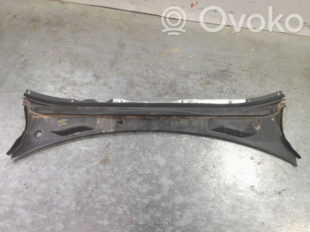 Windshield trim   39220123