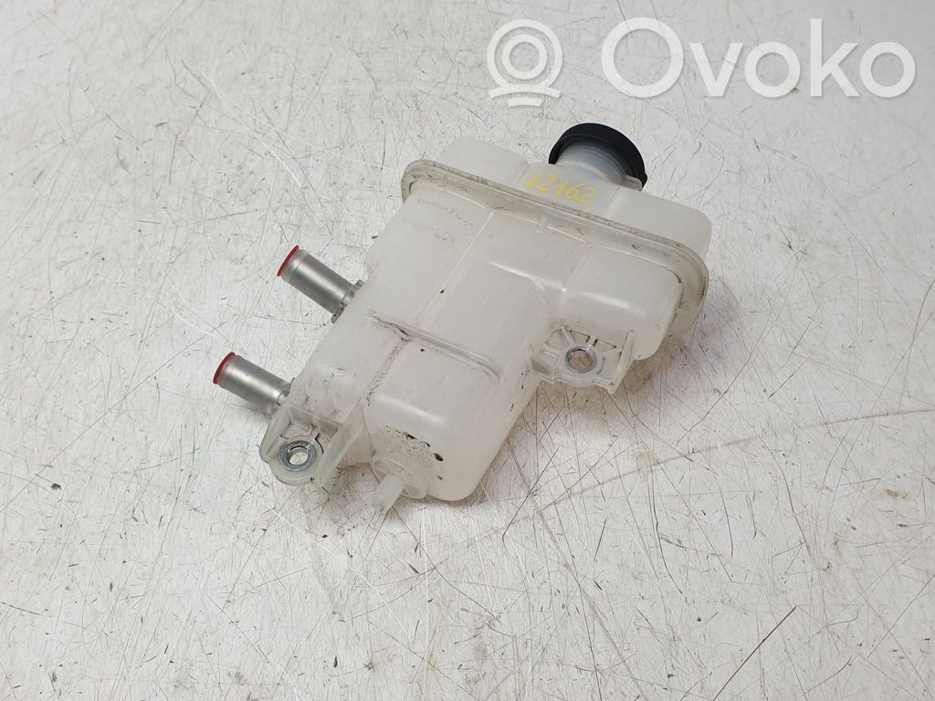 Toyota RAV 4 (XA50) Vas expansiune combustibil 