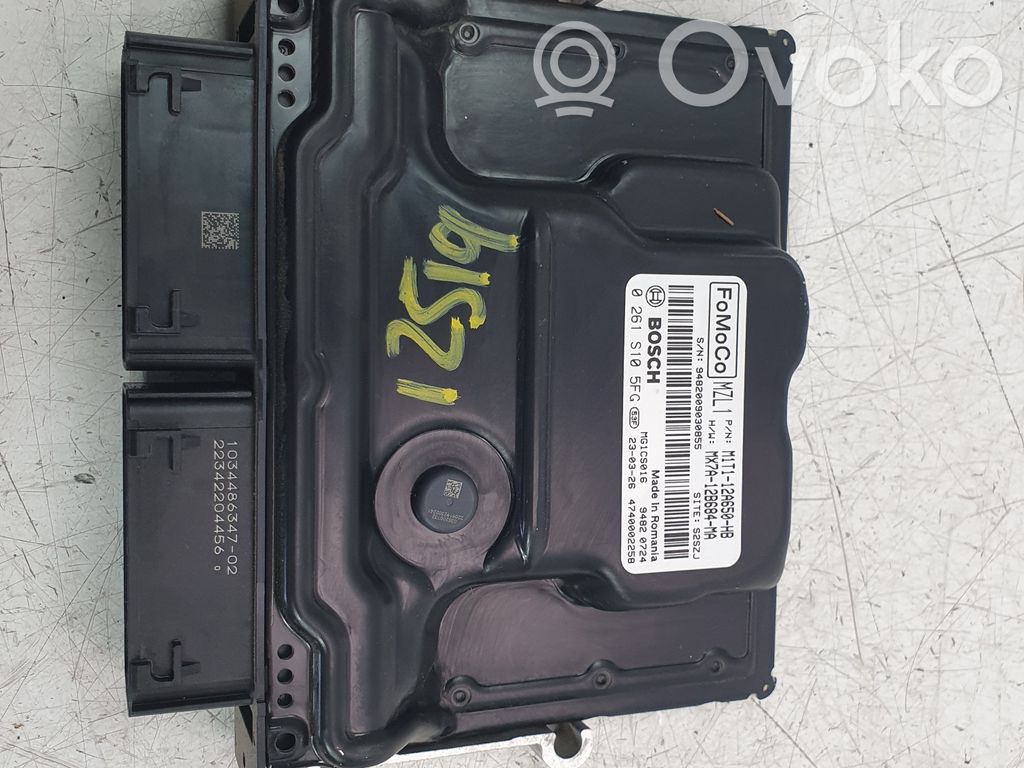 Engine control unit/module   M1T112A650HB