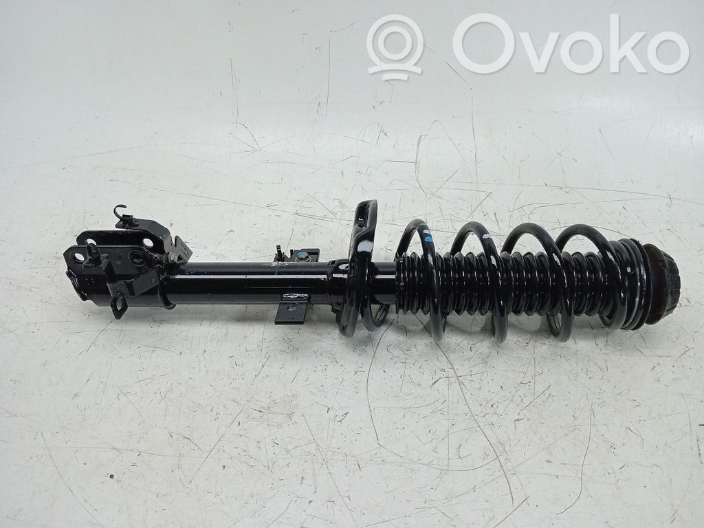 Stoßdämpfer hinten   543024047R
