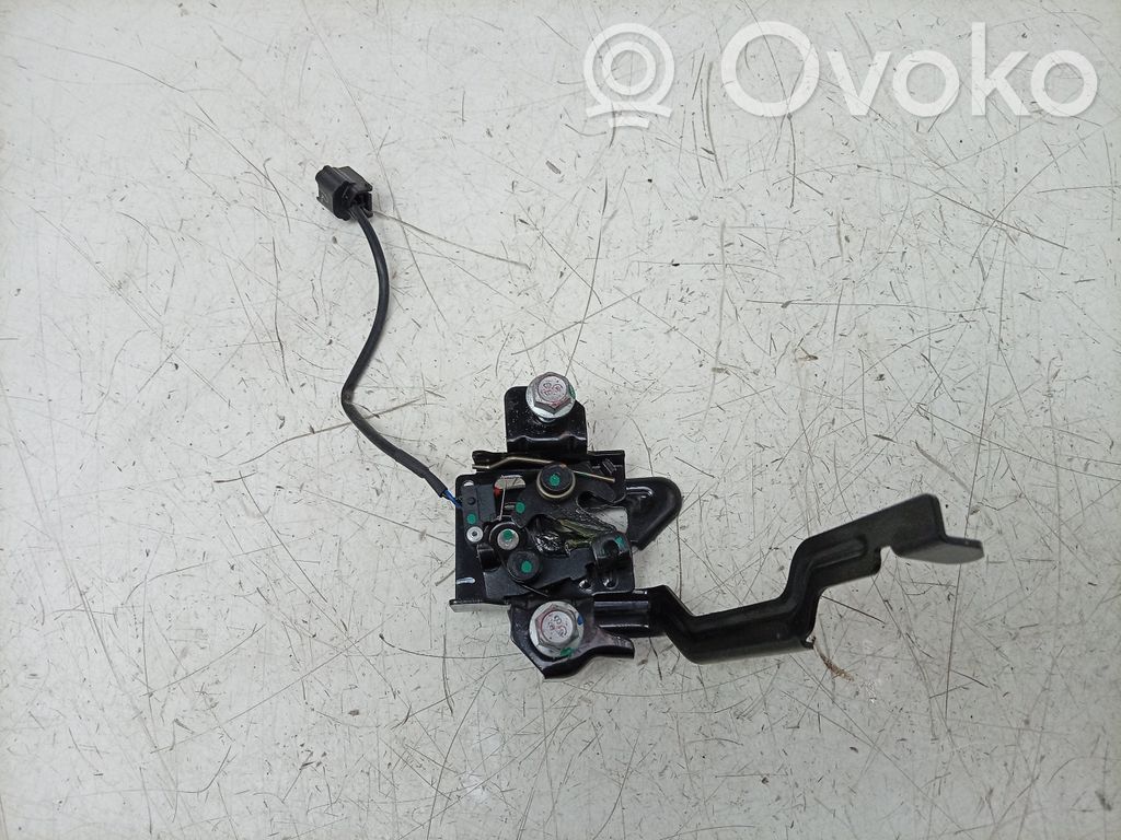 Dacia Spring Cârlig/ureche fixare 