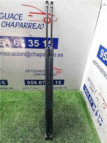 Amortiguador del maletero/compartimento de carga