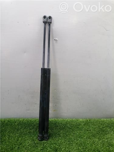 Citroen C3 Tampon hayon/capotă portbagaj 