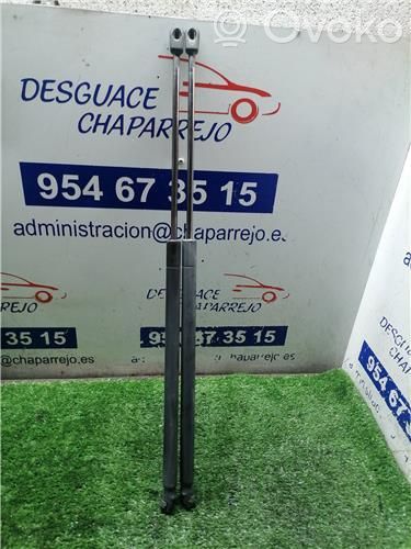 Atrama galinio dangčio