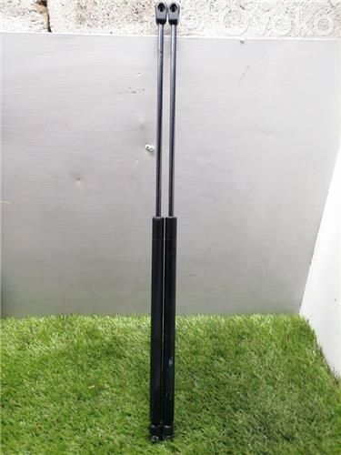 Tailgate/trunk/boot lid buffer