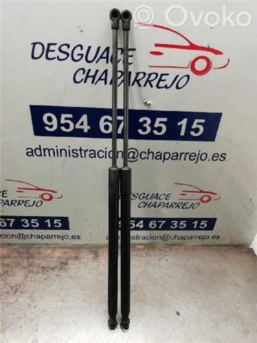 Amortiguador del maletero/compartimento de carga