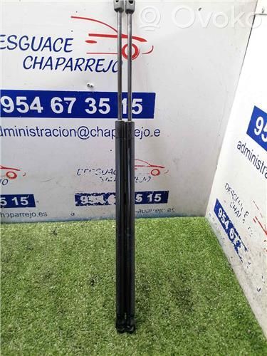 Ford Fiesta Tampon hayon/capotă portbagaj 