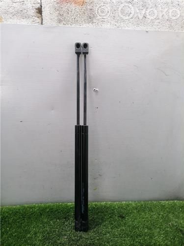 Tailgate/trunk/boot lid buffer