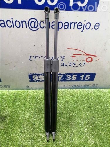 Amortiguador del maletero/compartimento de carga