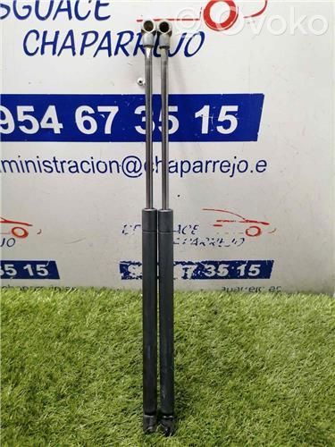 Amortiguador del maletero/compartimento de carga   6896002030,6896002030