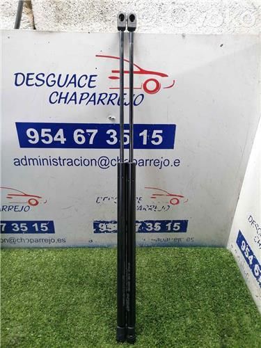 Amortiguador del maletero/compartimento de carga