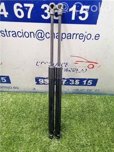 Amortiguador del maletero/compartimento de carga