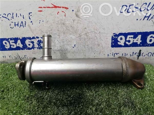 Jaguar X-Type Refroidisseur de vanne EGR