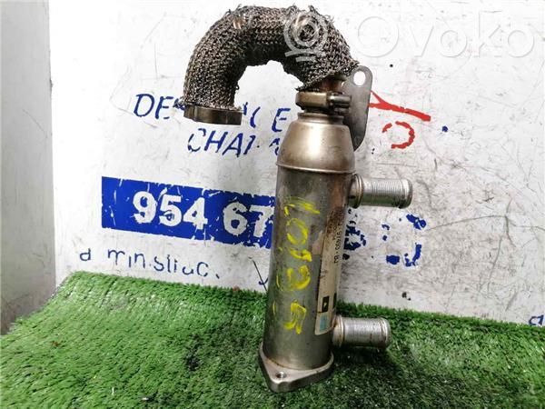 Citroen C6 Răcitor supapă EGR