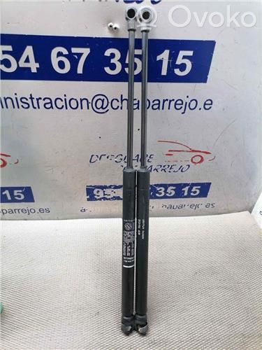 Tailgate/trunk/boot lid buffer
