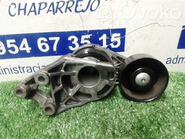 Seat Cordoba (6K) Tensor de correa del alternador 