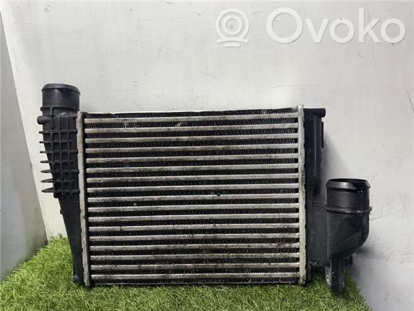 Peugeot Expert Radiatore intercooler 