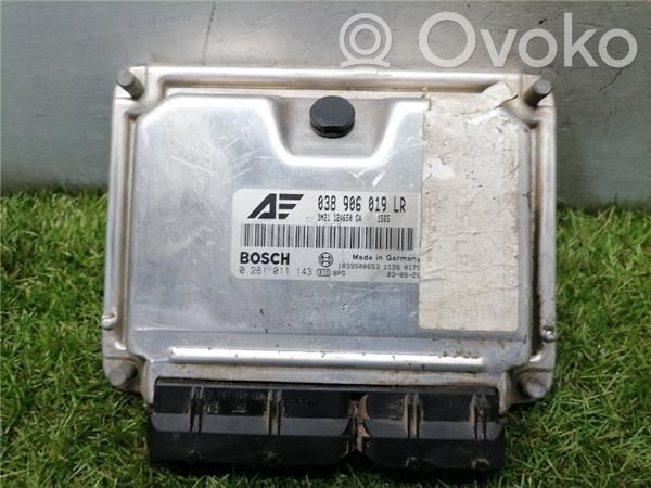 Engine control unit/module ECU   281011143,38906019LR