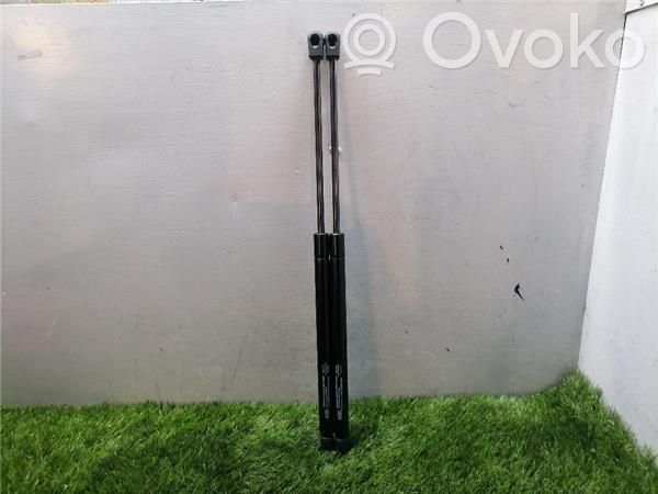 Tailgate/trunk/boot lid buffer