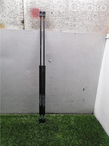 Tailgate/trunk/boot lid buffer