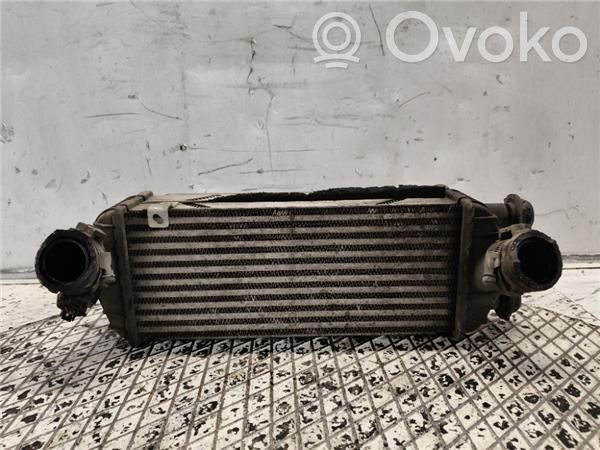 KIA Sportage Radiatore intercooler 