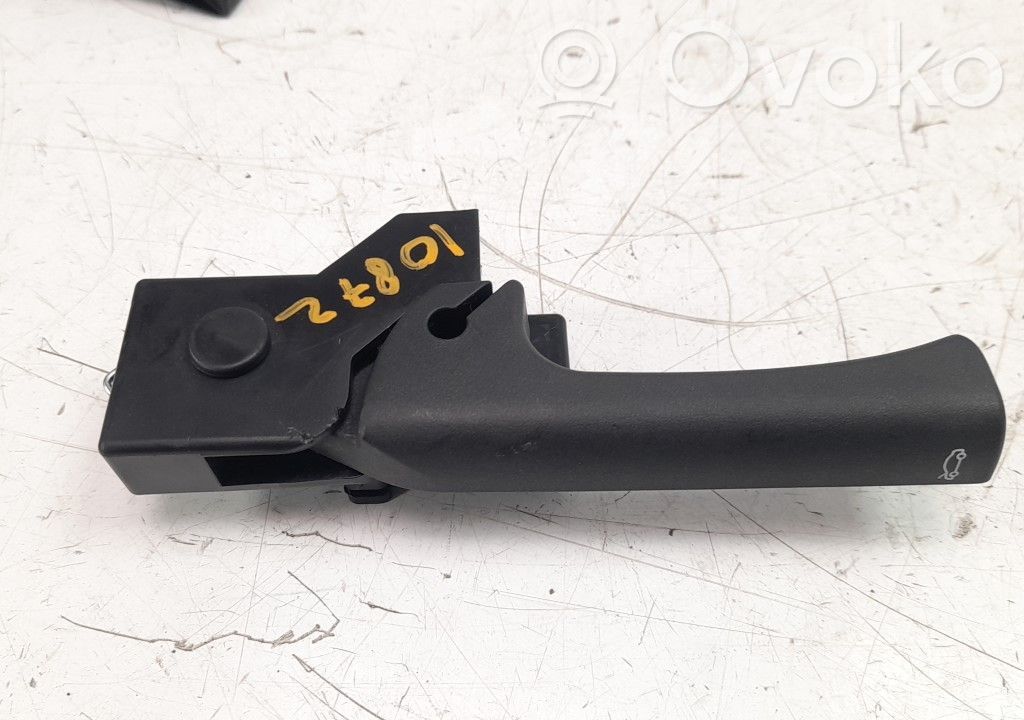 Tie down hook / loop   13454013