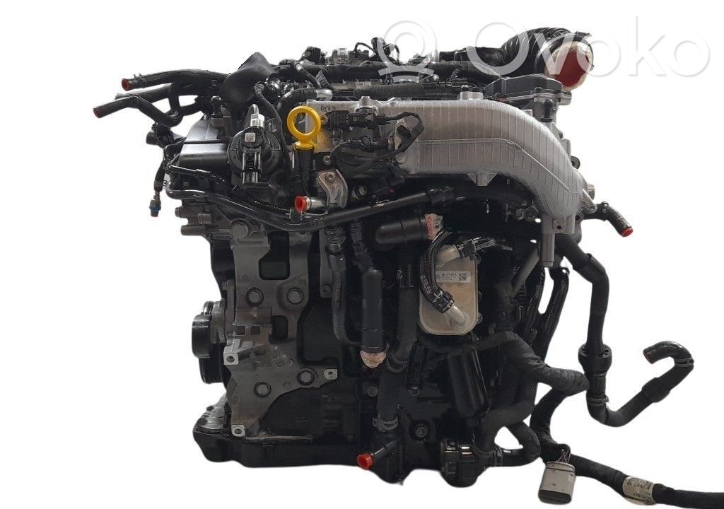 Motor