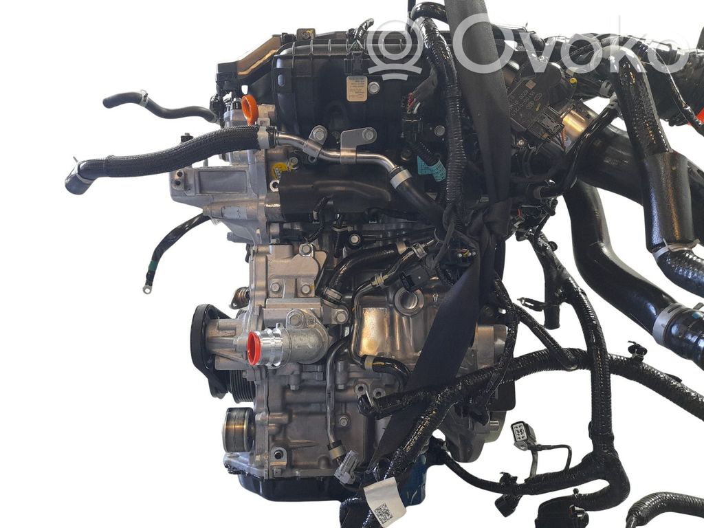 Motore   G3LF