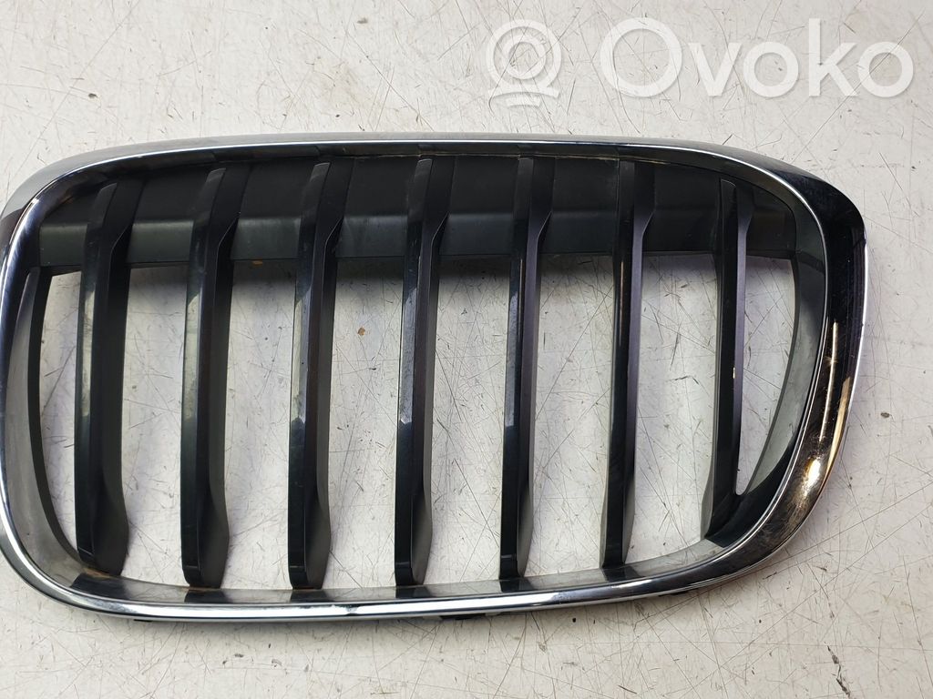 Atrapa chłodnicy / Grill   7354823,2141531