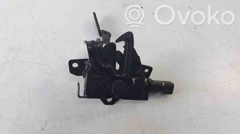 Tie down hook / loop   REF