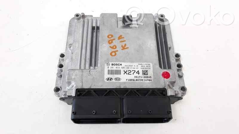 Engine control unit/module   391712A545,0281033603