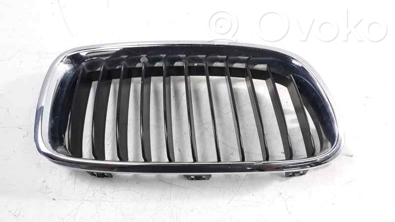 Front grill   19297610,107063315,BM0282013