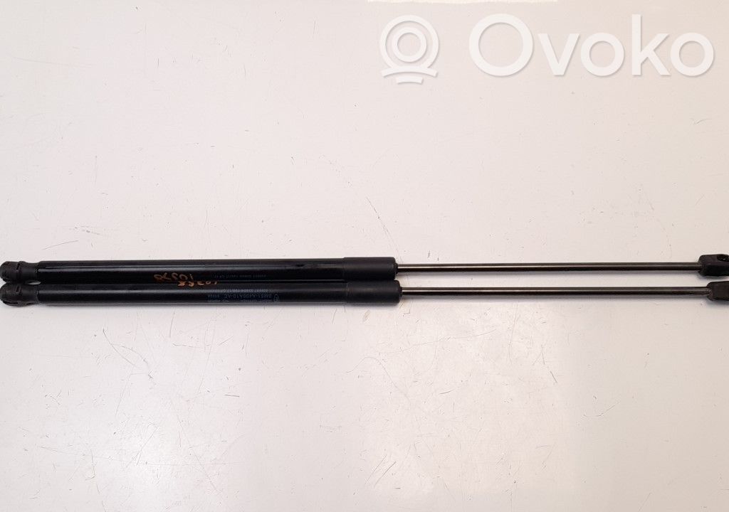 Tailgate/trunk strut/damper   BM51A406A10AE