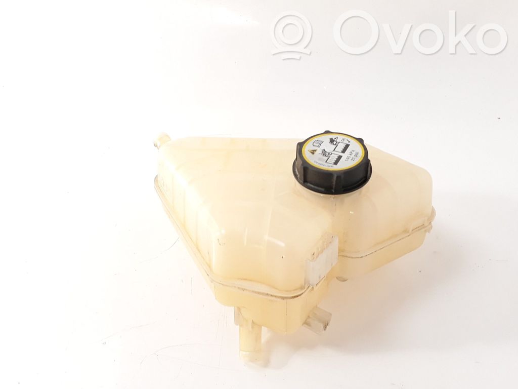 Ford Fiesta Vaso di espansione carburante