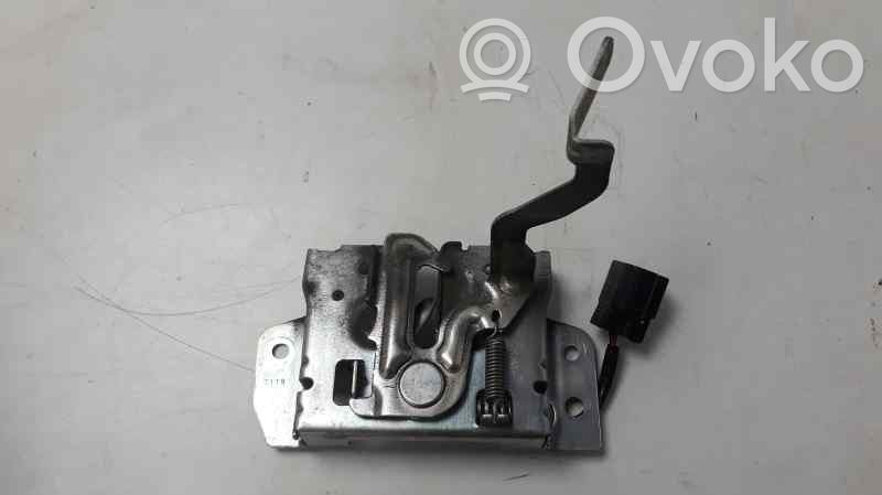 Tie down hook / loop   1607812880