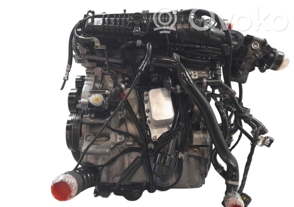 BMW X1 F48 F49 Motor 