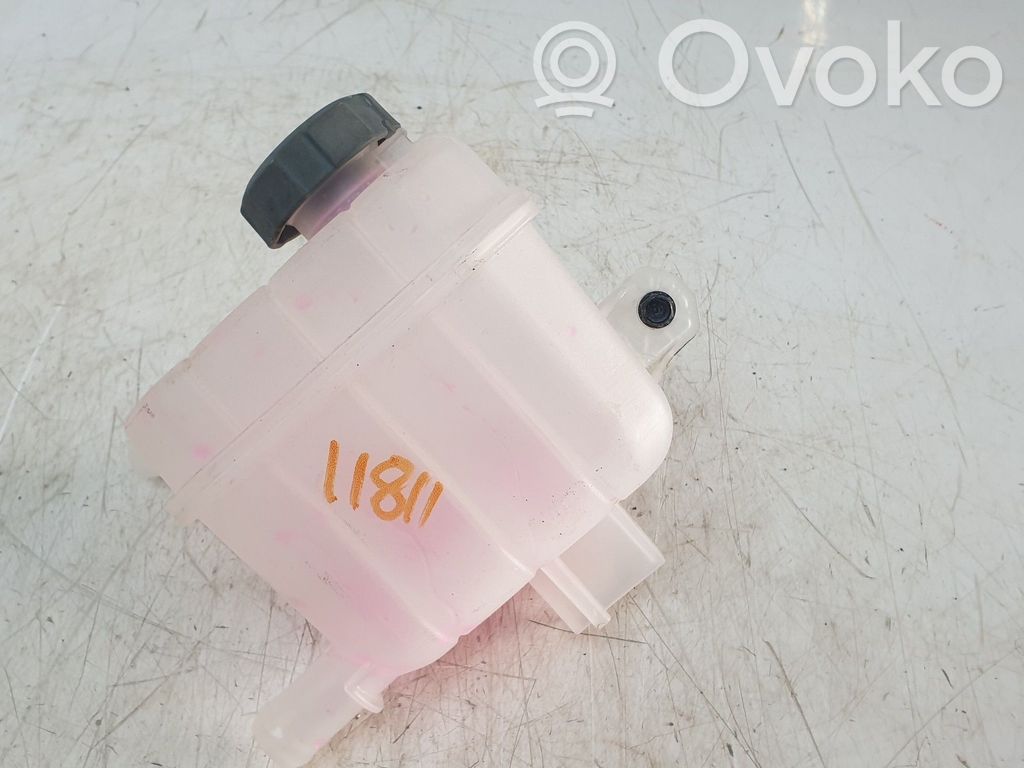 KIA Niro Vaso di espansione carburante