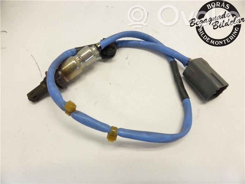 Зонд «Lambda»   PE01188G1A,PE01188G1