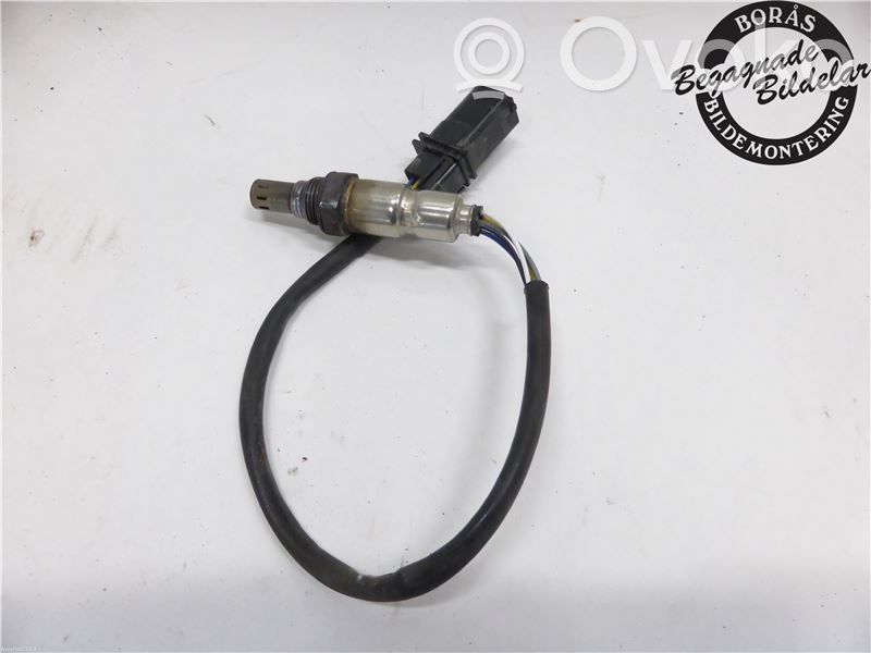 Sonda lambda   1706030,9687160780