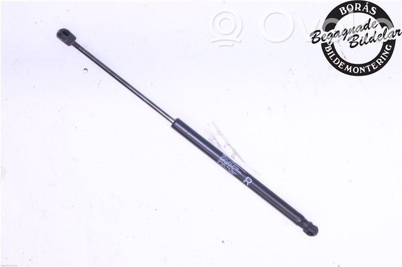 Tailgate strut   8731Q2,5802A002