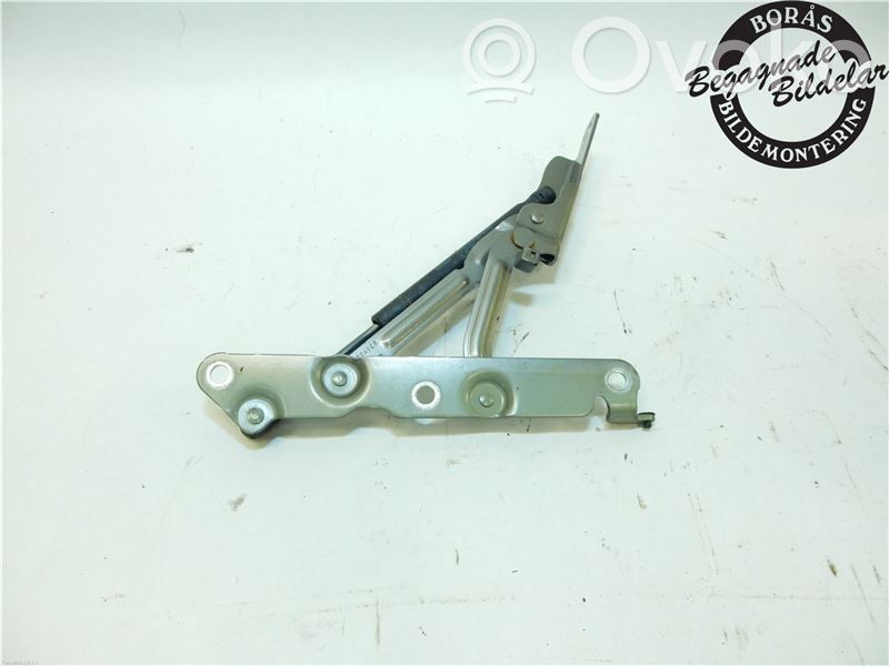 Tailgate/trunk/boot hinge   30799275