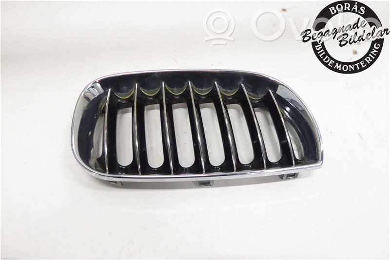 BMW X3 E83 Front bumper lower grill 
