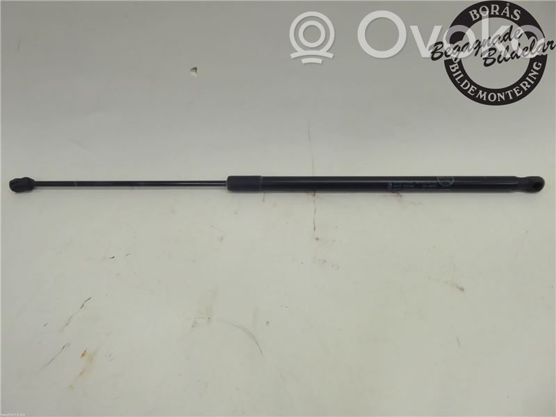 Tailgate strut   1803164,AM51R406A10AE