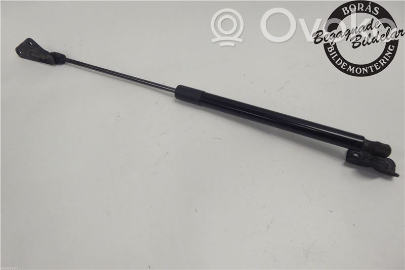 Ford B-MAX Tailgate strut 