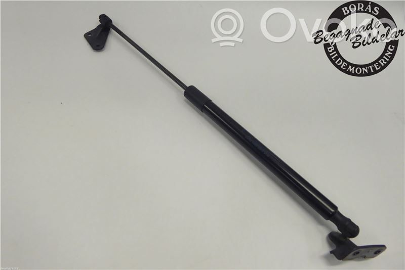 Ford B-MAX Tailgate strut 