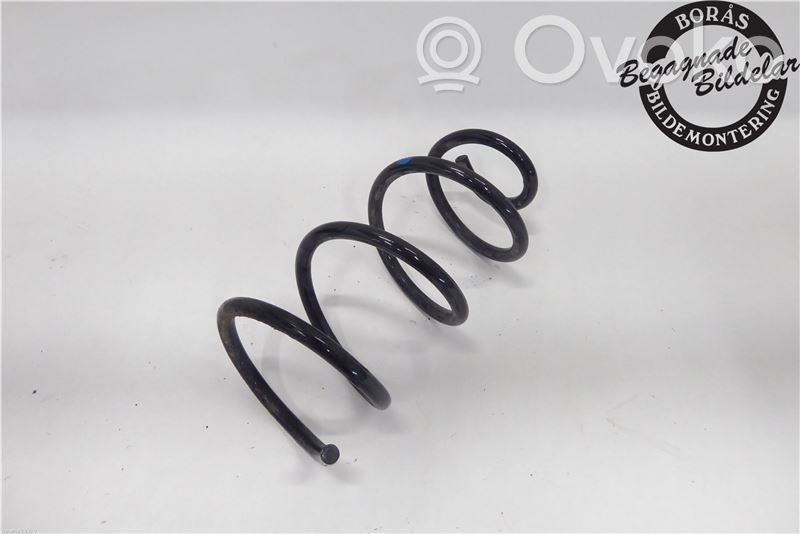 Rear coil spring   550203VU0A